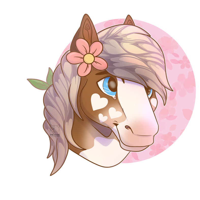 horse headshot horse headshot