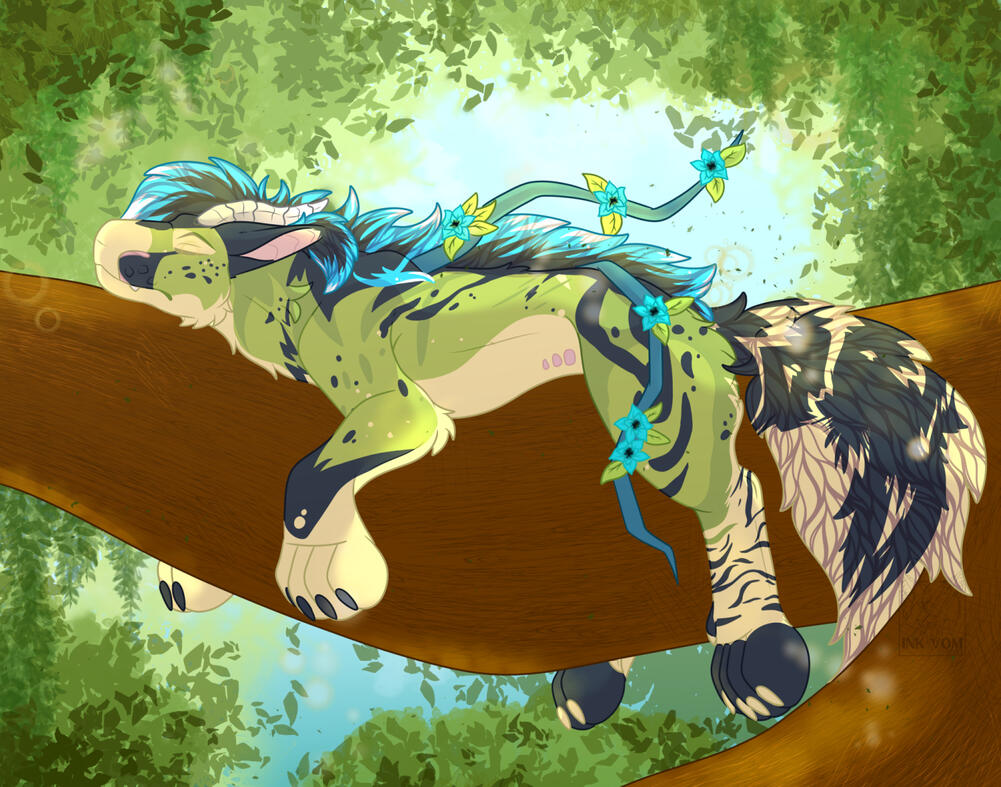 sleeping thicket sleeping thicket